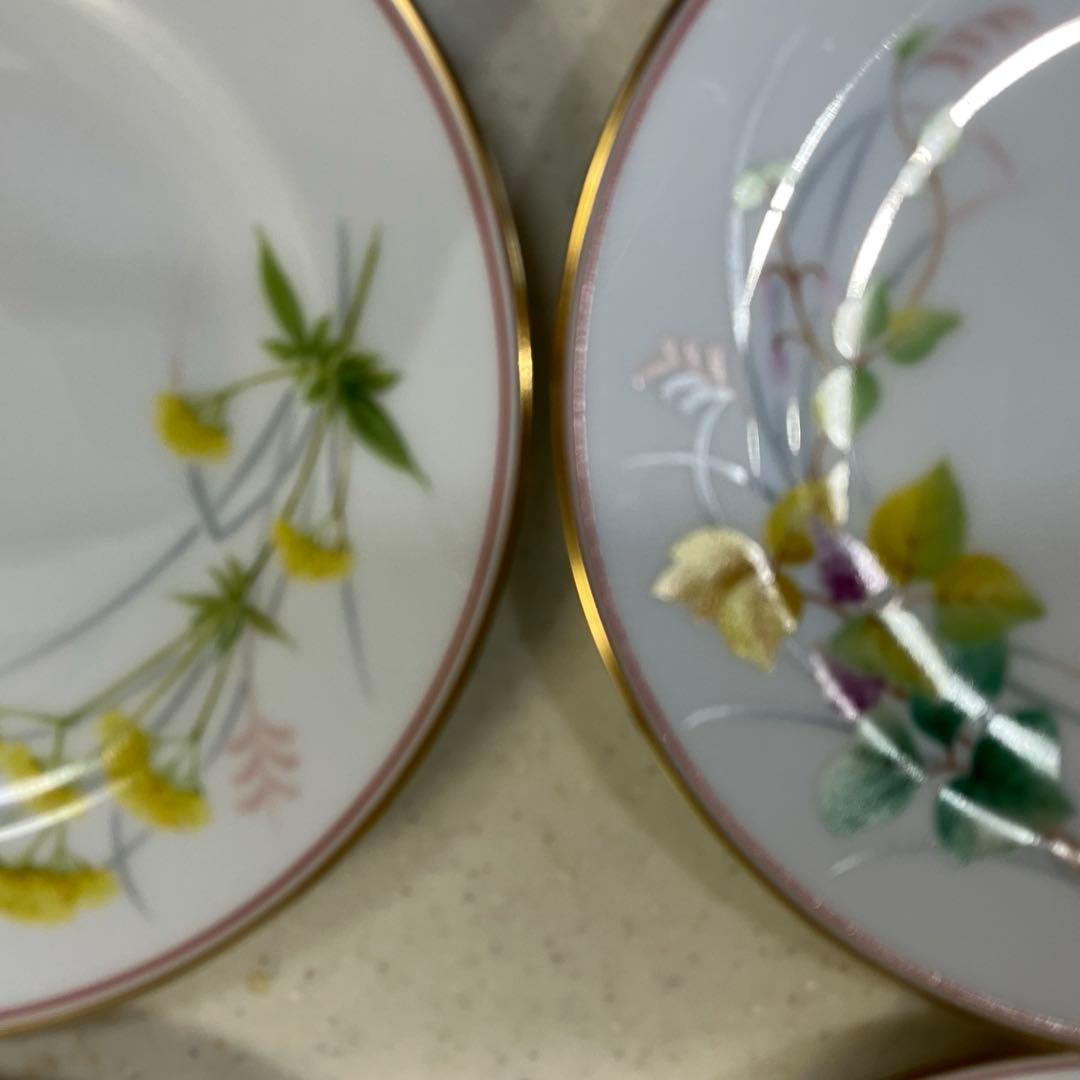 大倉陶園⭐️ケーキ皿⭐️Limited Edition⭐️ハンドペイント⭐️野の花⭐️6枚