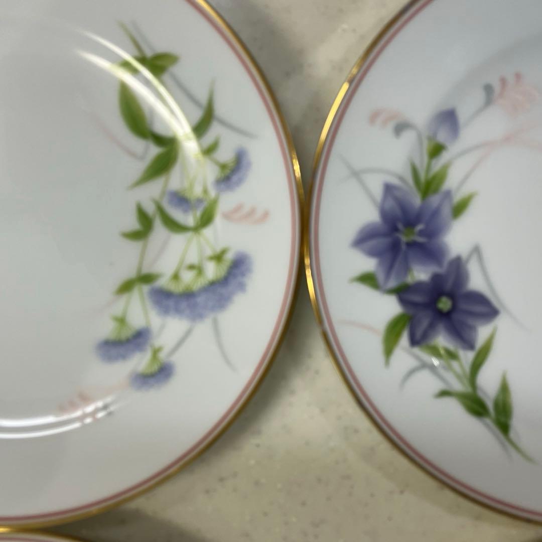 大倉陶園⭐️ケーキ皿⭐️Limited Edition⭐️ハンドペイント⭐️野の花⭐️6枚