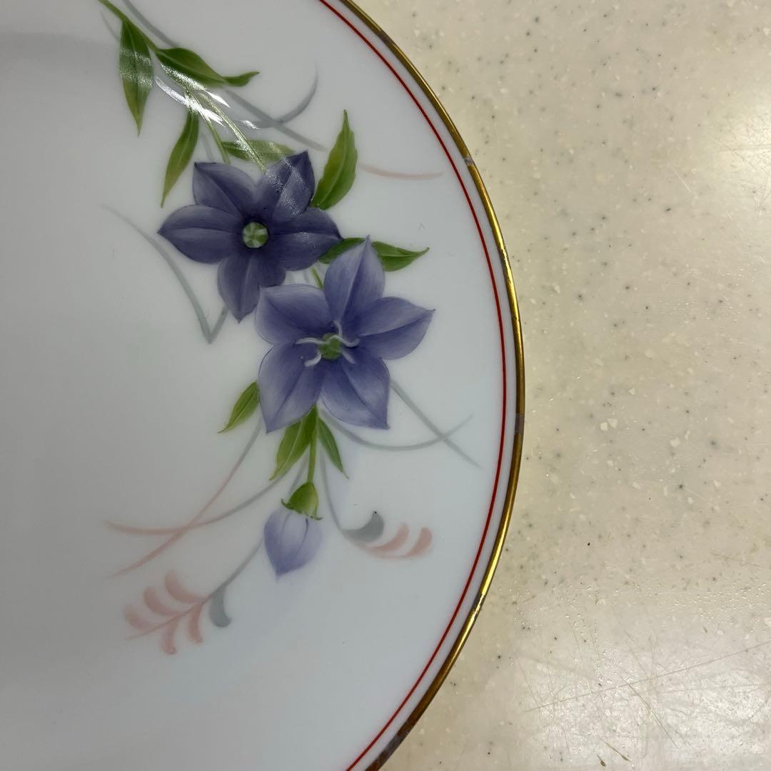 大倉陶園⭐️ケーキ皿⭐️Limited Edition⭐️ハンドペイント⭐️野の花⭐️6枚
