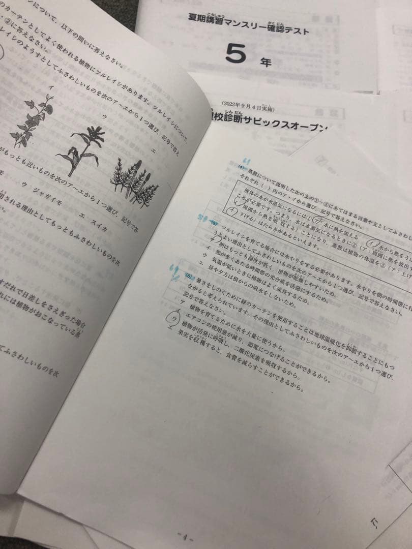 サピックス　2022年度　5年　マンスリー確認/復習/組分けテスト　計12回