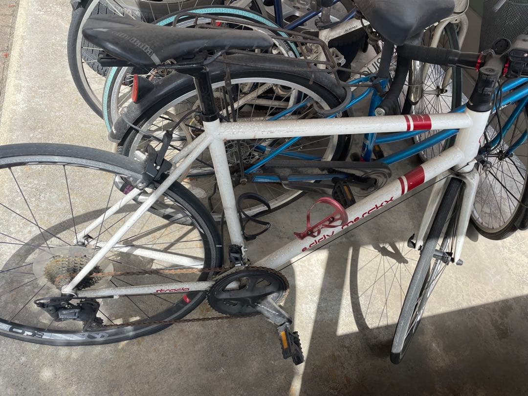 エディ・メルクスHAGELAND 中古