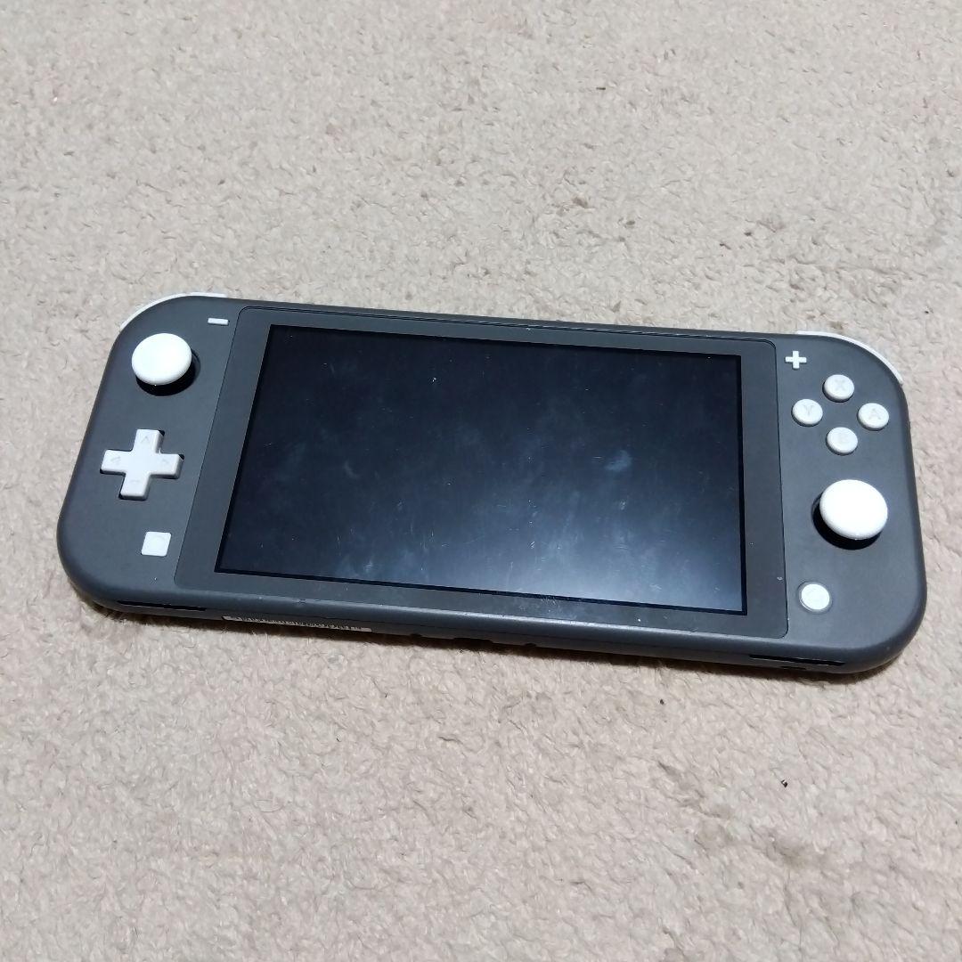 Switchライト　ジャンク