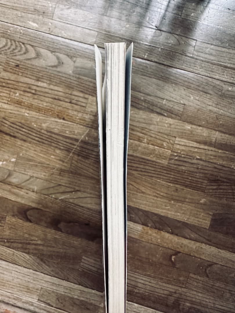 City Indians パンク・モヒカン・スキンヘッド・タトゥー　写真集