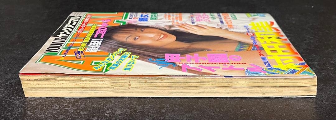 ●ヤングアニマル 1996年 No.15 ●ベルセルク 第84話 三浦建太郎