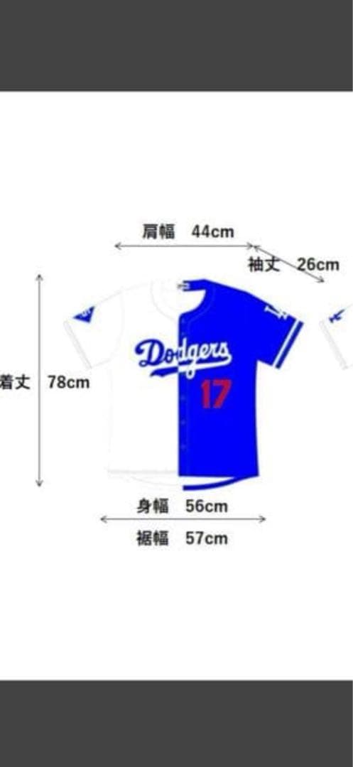 MLBドジャース 大谷翔平　 ミックスハーフサインプリント (非売品)
