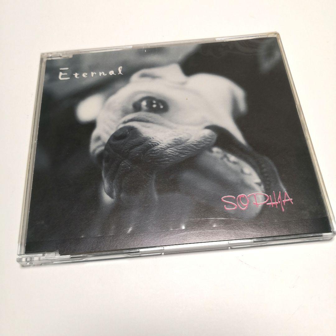 SOPHIA 配布CD 「Eternal」 松岡充 Blu-ray 武道館