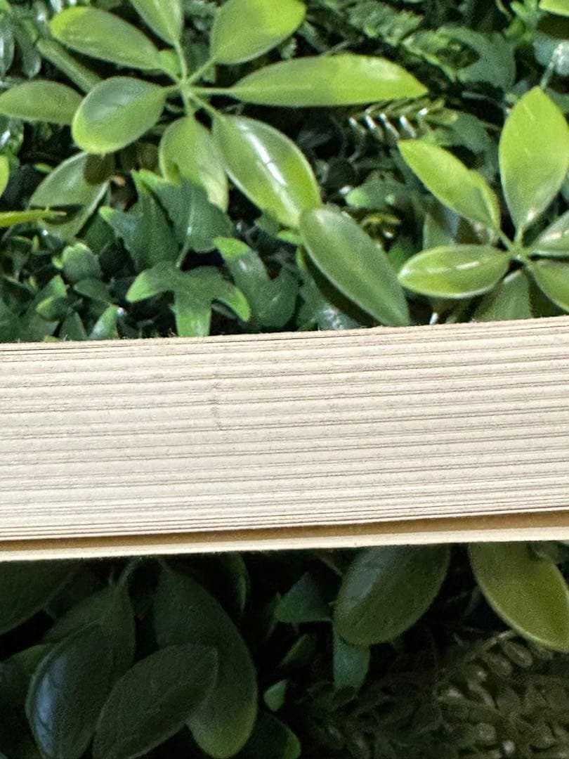 Qu’est-ce que le Tiers état？／Emmanuel