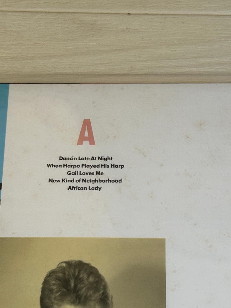 88年UKオリジナル盤-Modern Lovers 88 坂本慎太郎 レコード