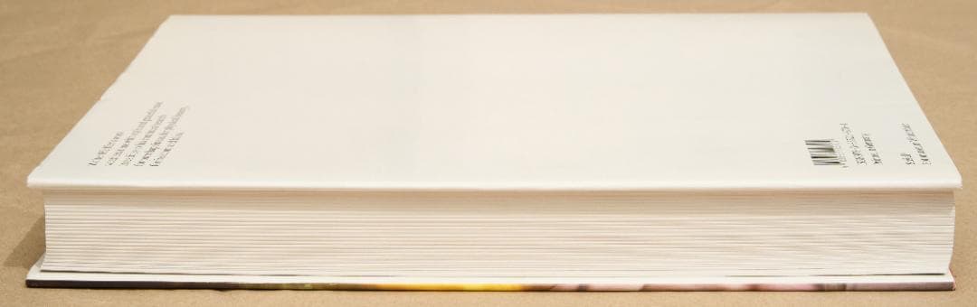 アート・デザイン・音楽 Walter Pfeiffer : In Love With Beauty