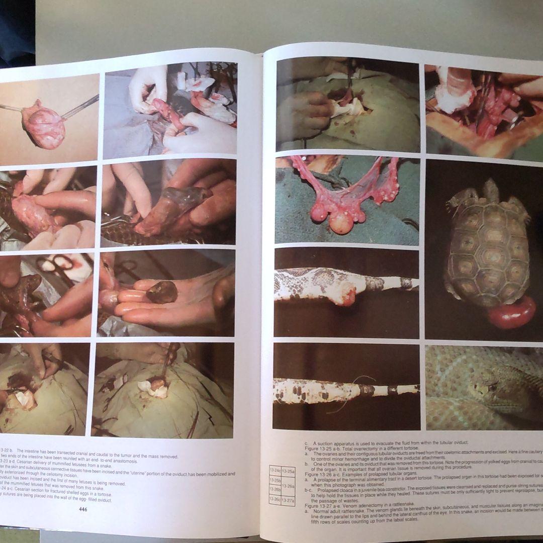 REPTIRE CARE Ⅰ・Ⅱ