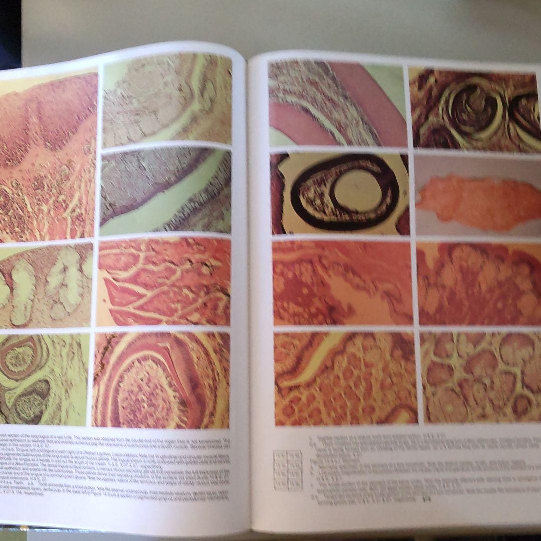 REPTIRE CARE Ⅰ・Ⅱ