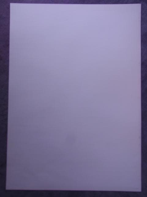 未使用品　非売品　ポスター　超GALS!寿蘭2　GB　ゲームボーイ　販促品