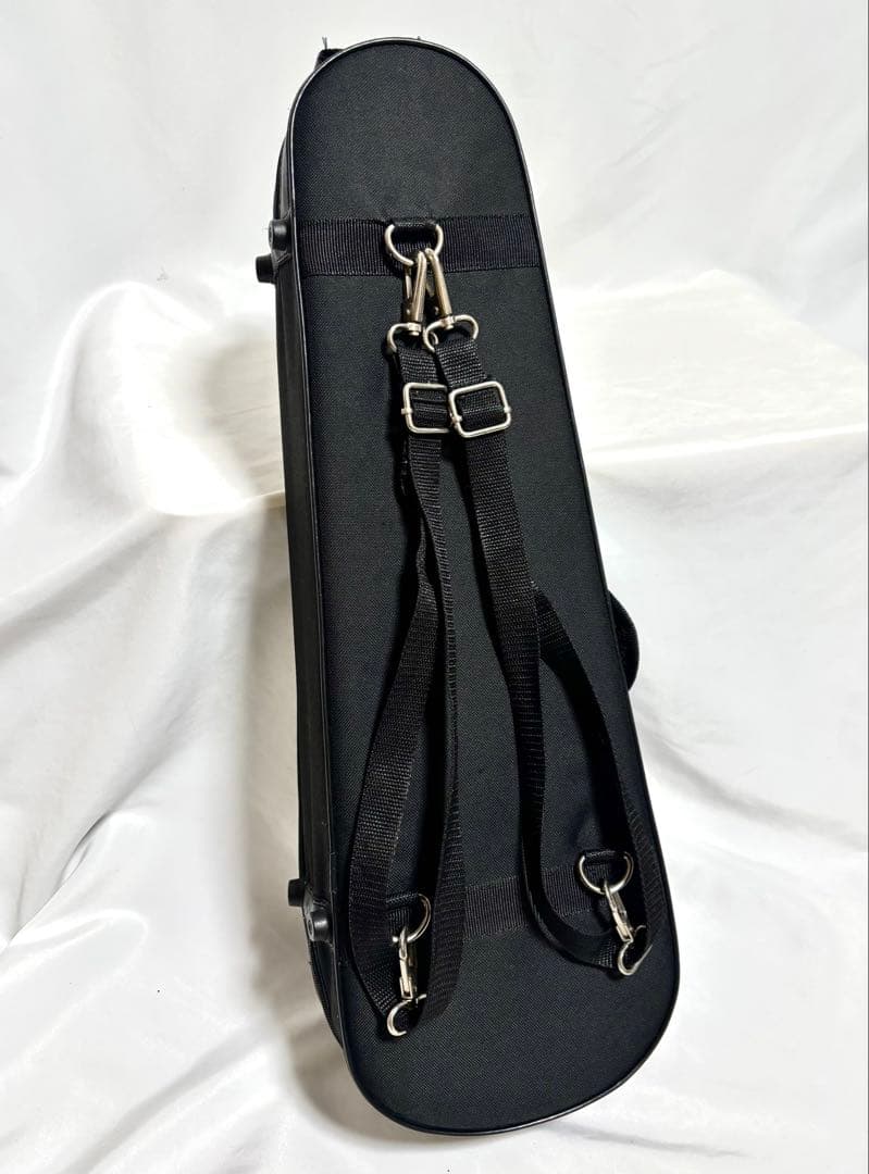 Carlo giordano バイオリン VS-1 1/8サイズ 2013年