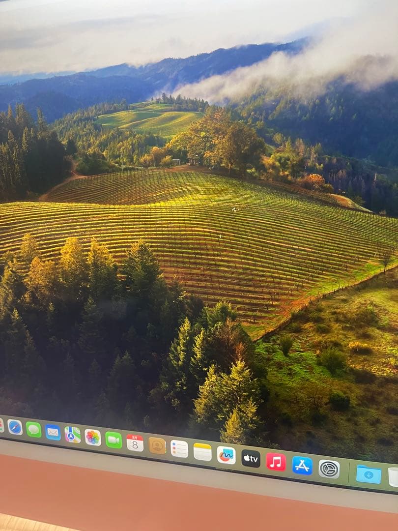 iMac 【M1 / 8コアGPU / 8GBメモリ/ 250GBSSD】