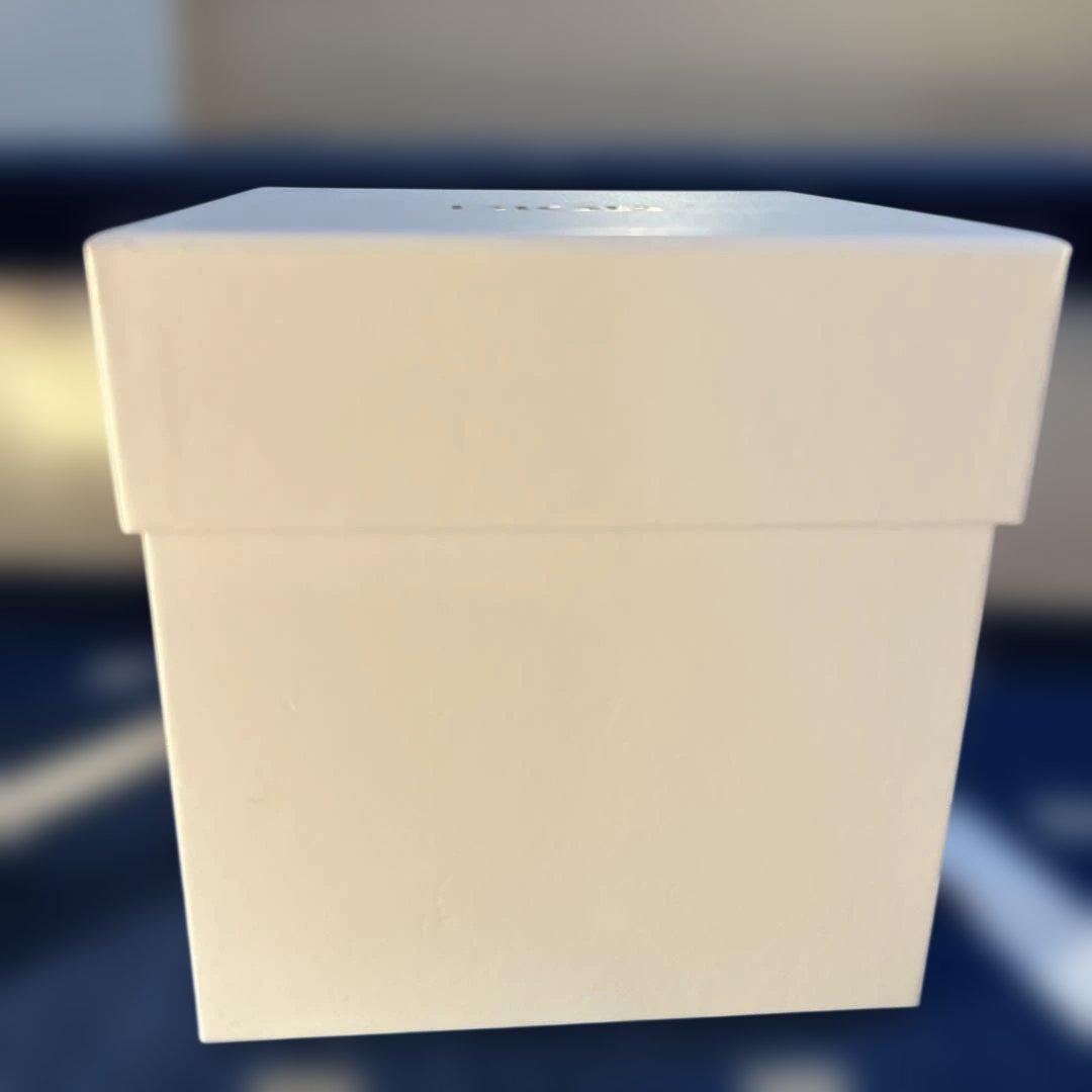 CHRISTIAN DIOR スノードーム ゴールド