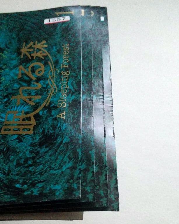 眠れる森 全4巻 レンタル落ちDVD 中山美穂 木村拓哉 仲村トオル 陣内孝則