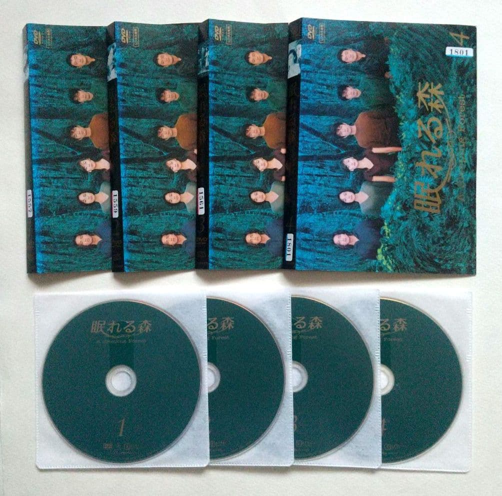 眠れる森 全4巻 レンタル落ちDVD 中山美穂 木村拓哉 仲村トオル 陣内孝則
