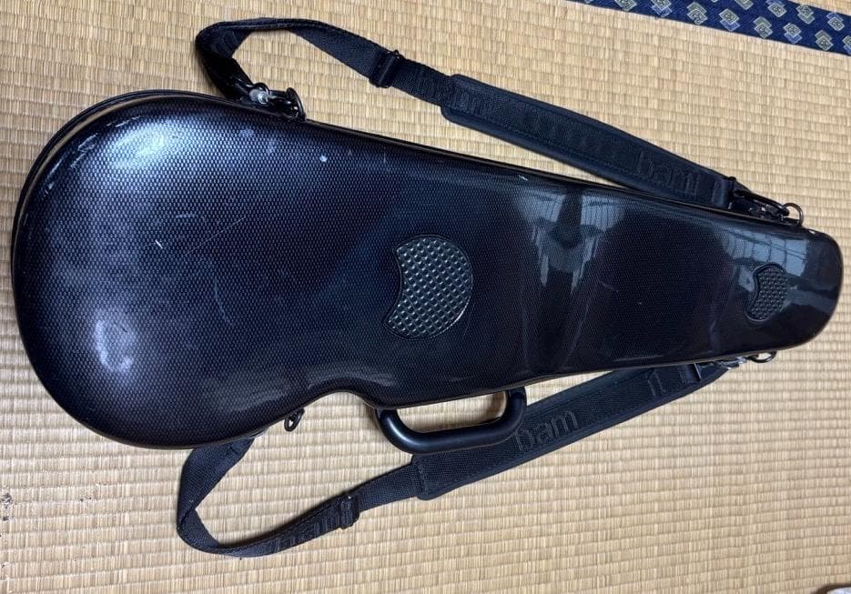 Bam ブラックバイオリンケース