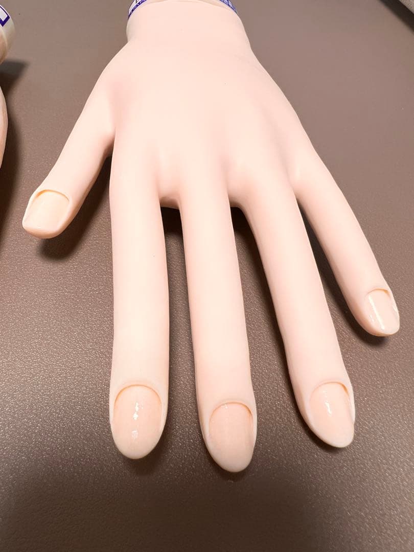 JNEC認定 モデルハンド　2回使用