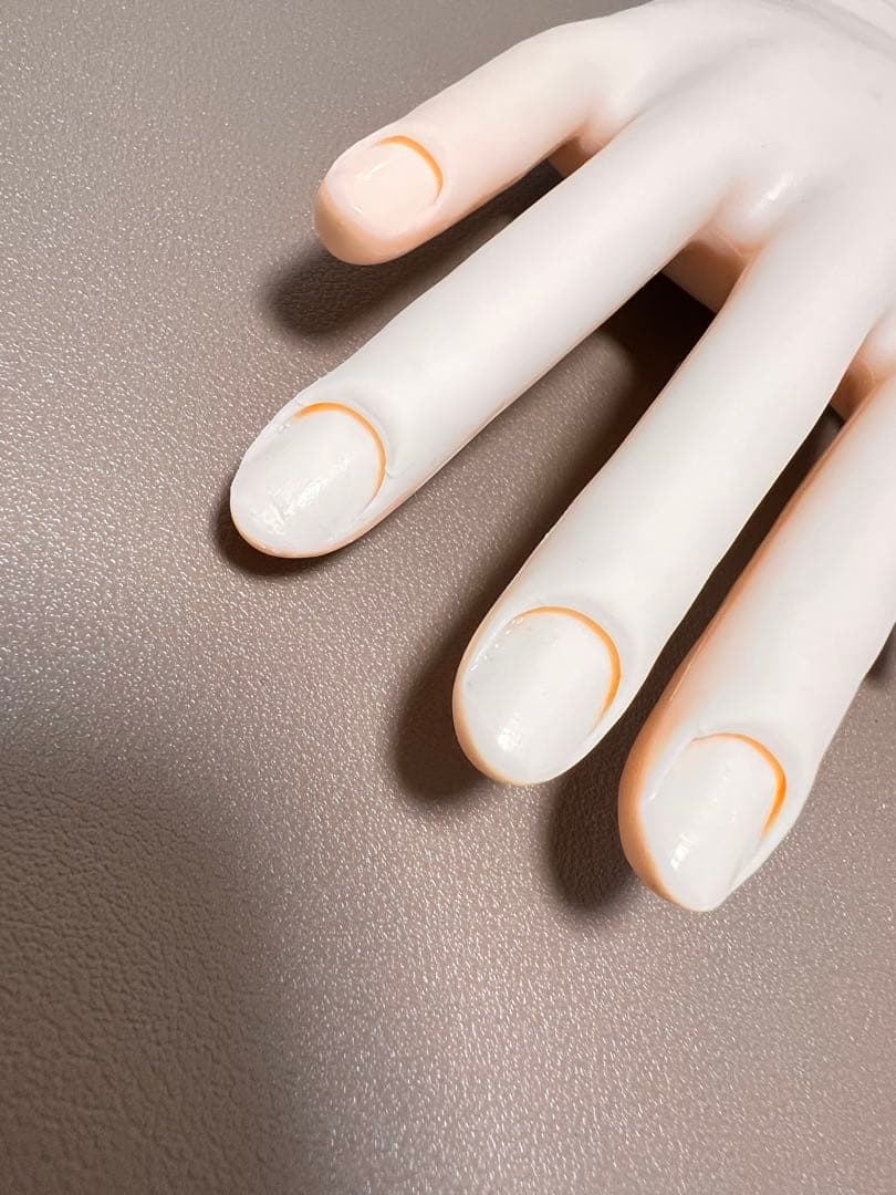 JNEC認定 モデルハンド　2回使用