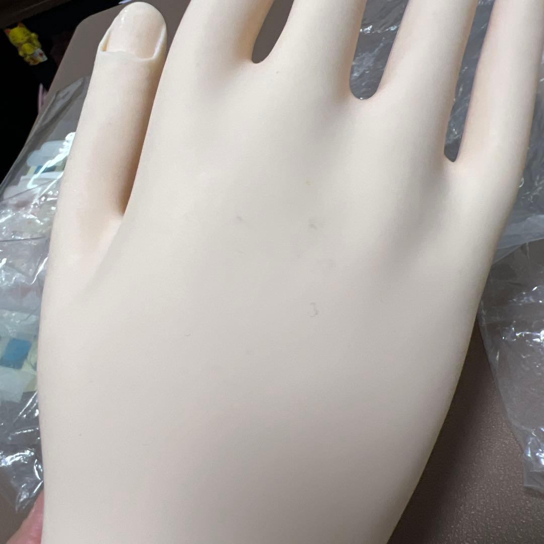 JNEC認定 モデルハンド　2回使用