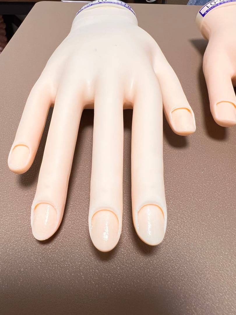 JNEC認定 モデルハンド　2回使用