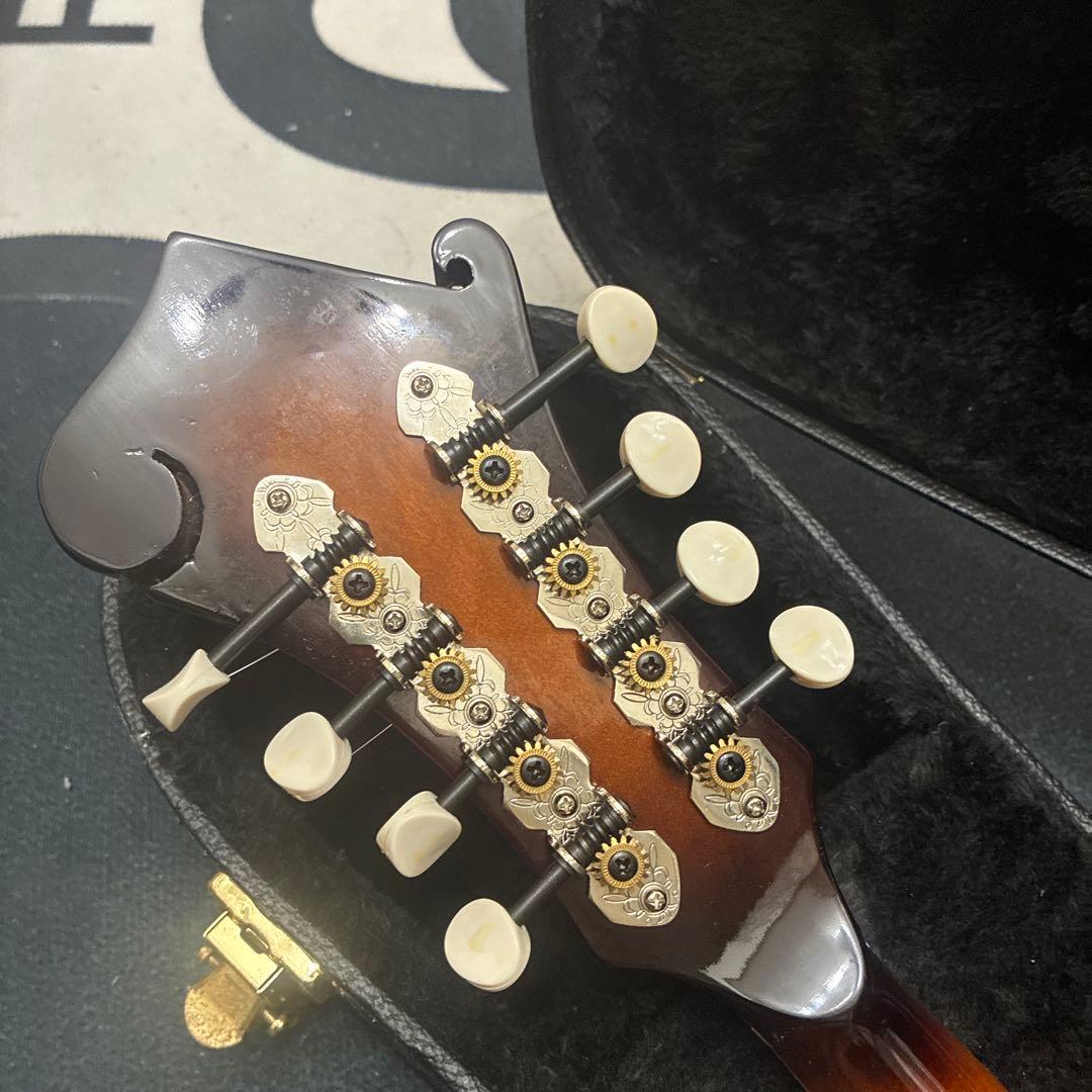 Savannah フラットマンドリン　ハードケース付き