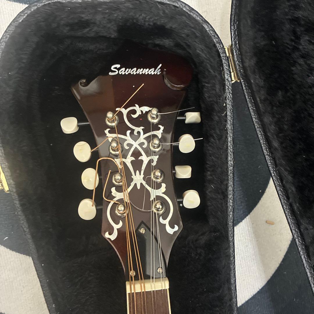 Savannah フラットマンドリン　ハードケース付き