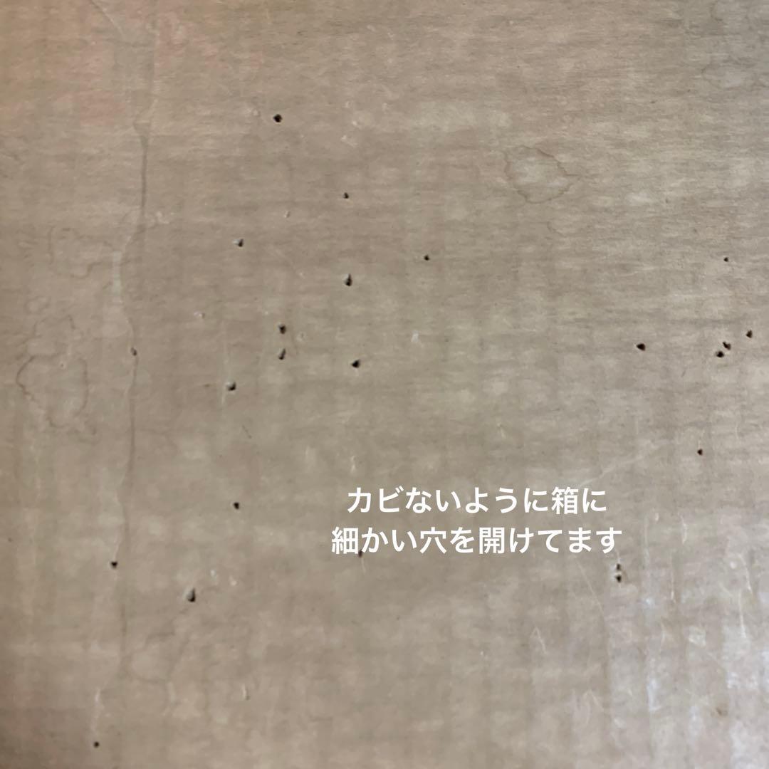 トニーラマ ブーツ