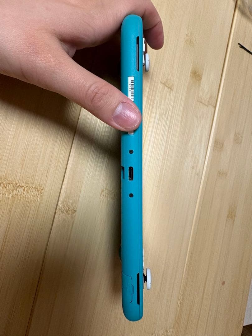 【美品】Nintendo Switch Lite 本体(どう森ケースつき)