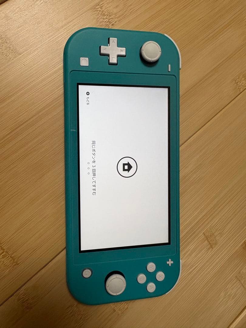 【美品】Nintendo Switch Lite 本体(どう森ケースつき)