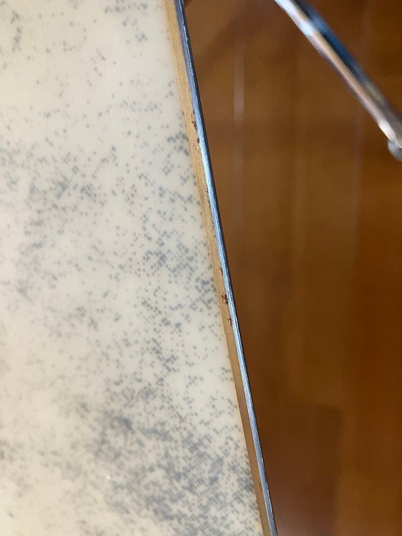 O*き様 バートン　Burton ファミリーツリー　ボトムフィーダー150cm