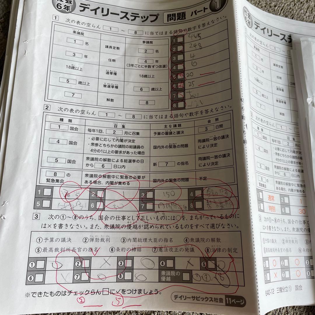 最新　サピックス　6年生　社会　表紙　夏講習　デイリーステップ　ポイントの整理