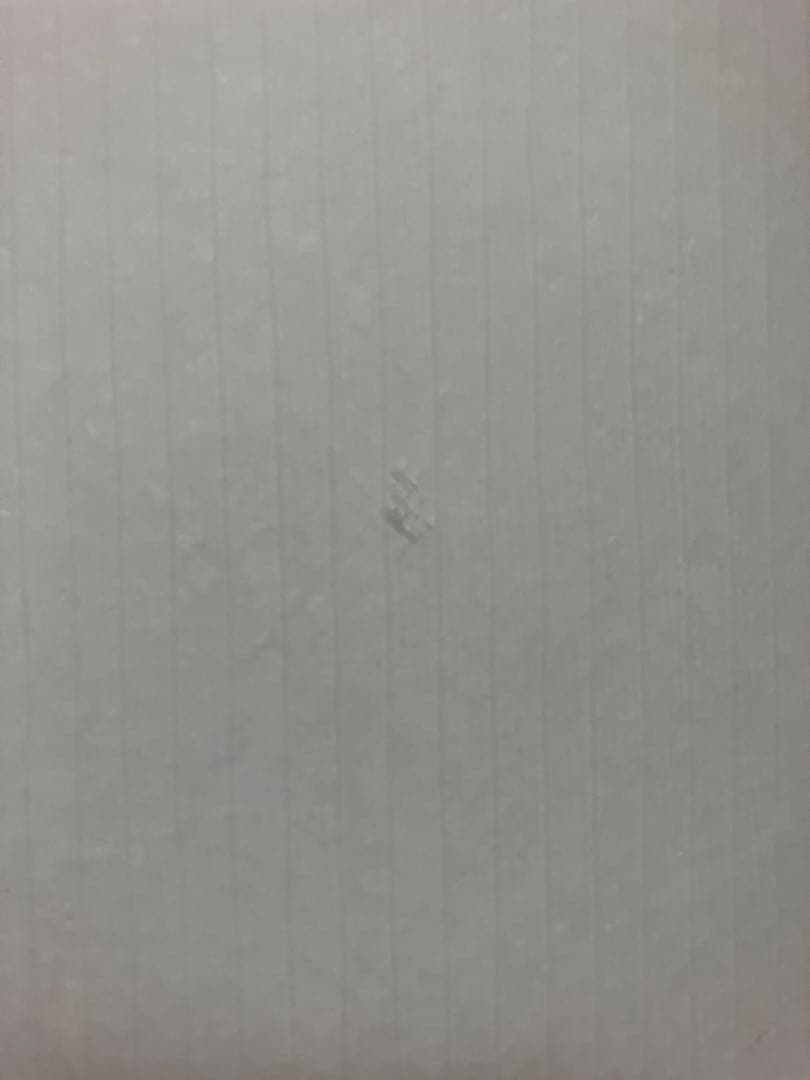 ラーメン【手渡し】DHD フェニックス　スワローEPS 5.8