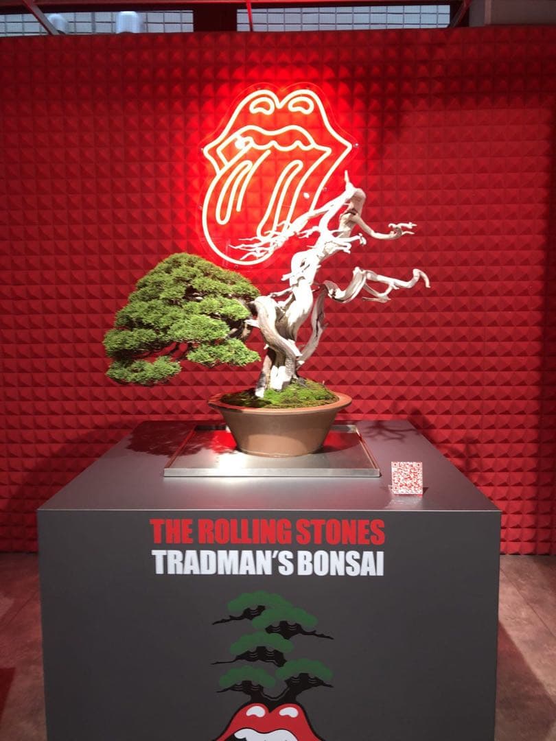 TRADMAN’S BONSAI ローリングストーンズ TシャツXL/ホワイト