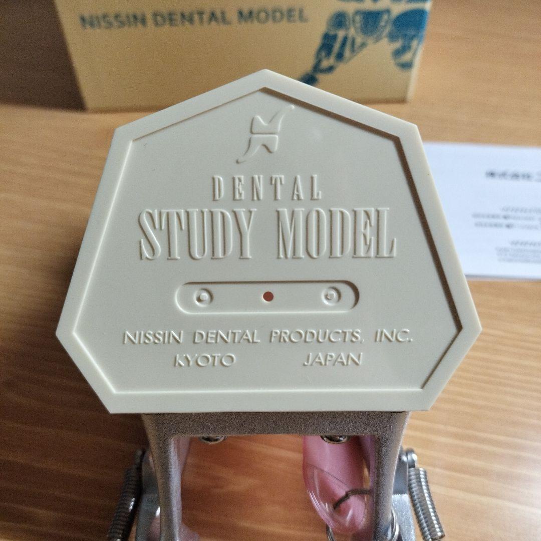 v*w様 NISSIN ニッシン デンタルモデル 顎模型 i21d-400g