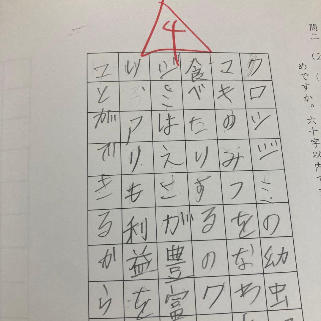 サピックス 2020年度 5年生 4教科 テキスト フルセット