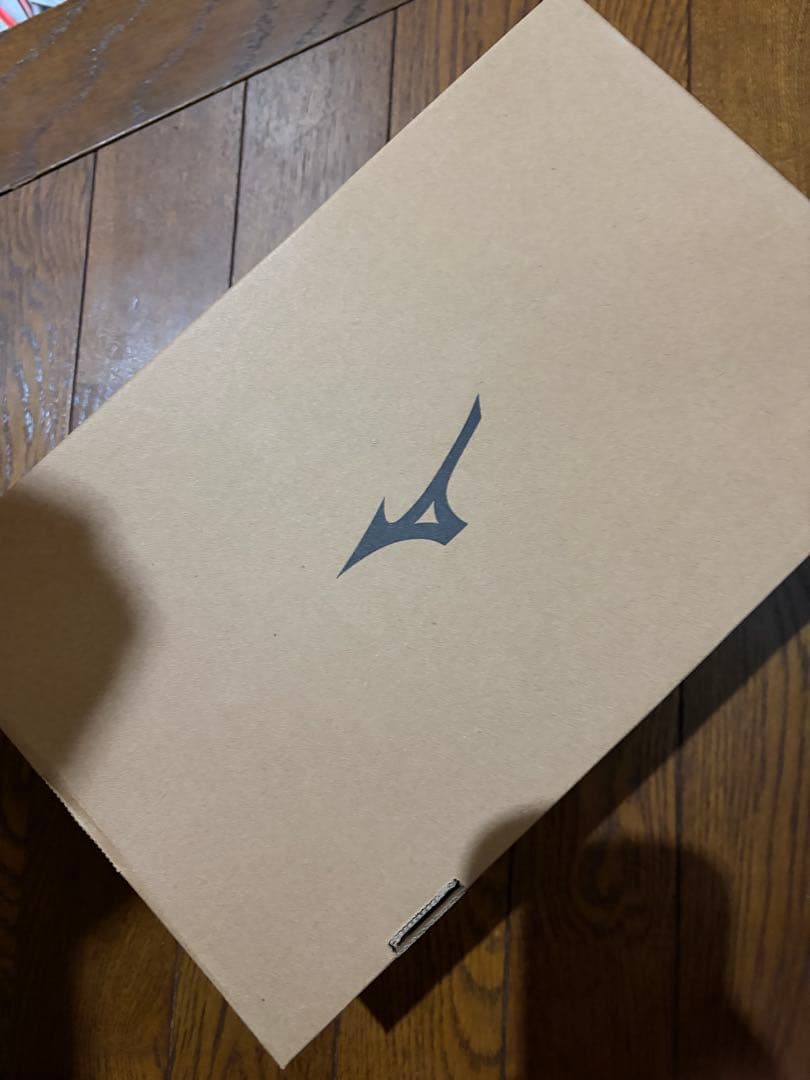 ミズノ　ウェーブリベリオンフラッシュ3 メンズ25.5cm