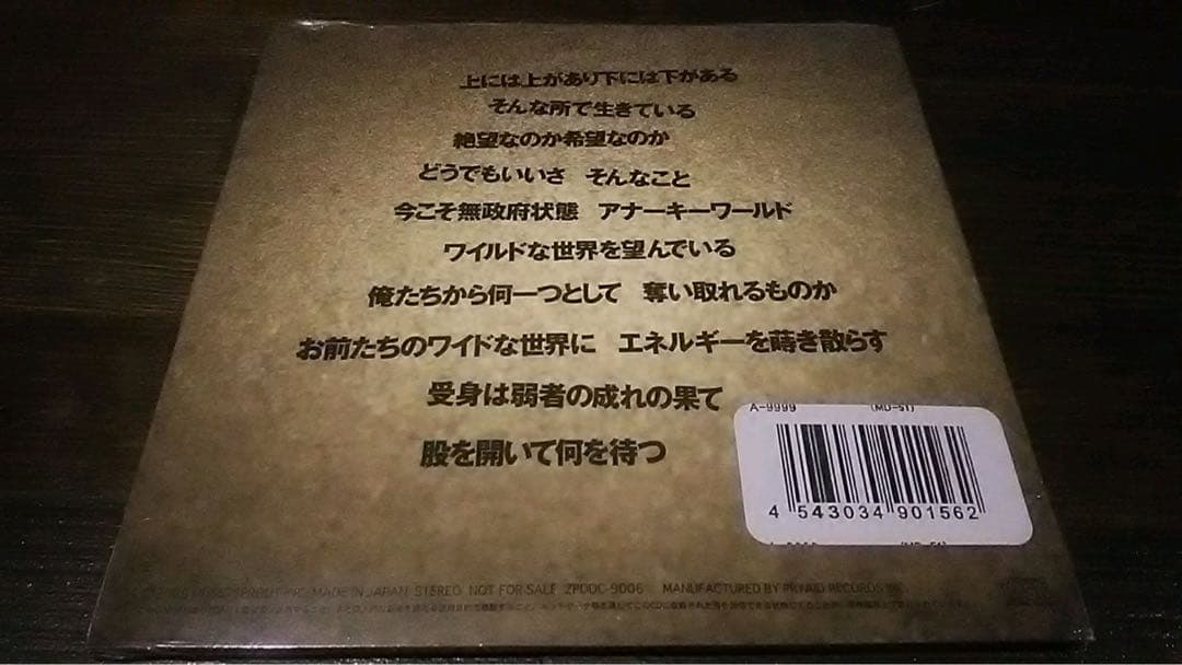 激稀少新品非売品CD/亜無亜危異 アナーキー/仲野茂 藤沼伸一