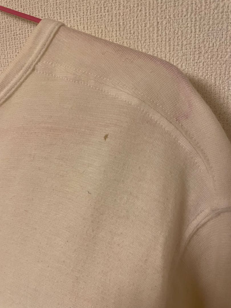 【希少】AnnDemeulemeester アンドゥムルメステール　カットソー