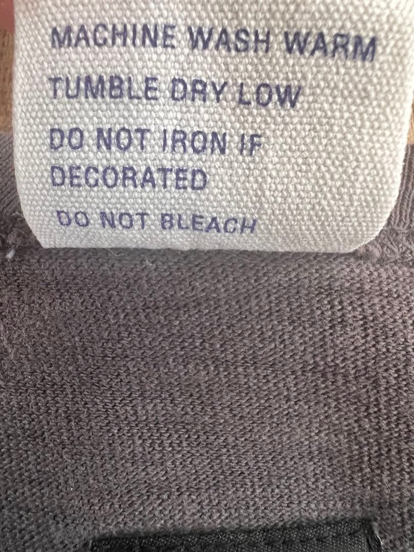 ステューシー チャンピオン コラボ Tシャツ ツイストガール L USA製