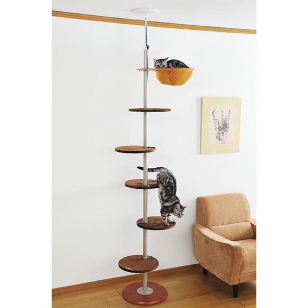 ボンビアルコン　キャットポール