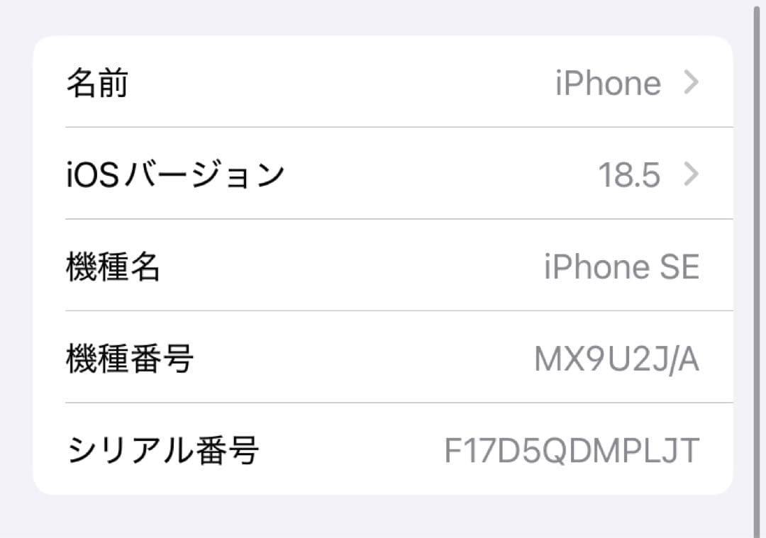 ④ 【動作確認済】iPhoneSE（第2世代） 64GB 本体