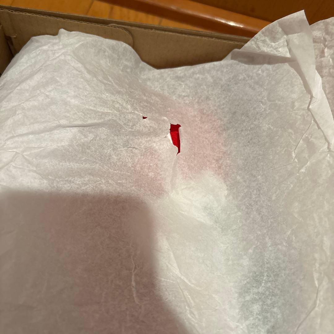 PUMAレプリキャッチ スニーカー 24cm レッド