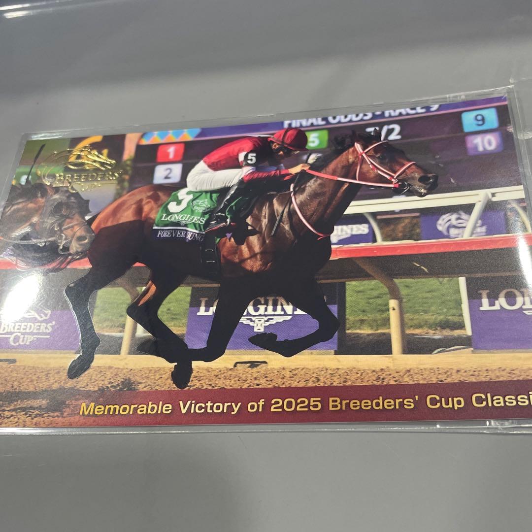 フォーエバーヤングオリジナルキャップ、ポストカード