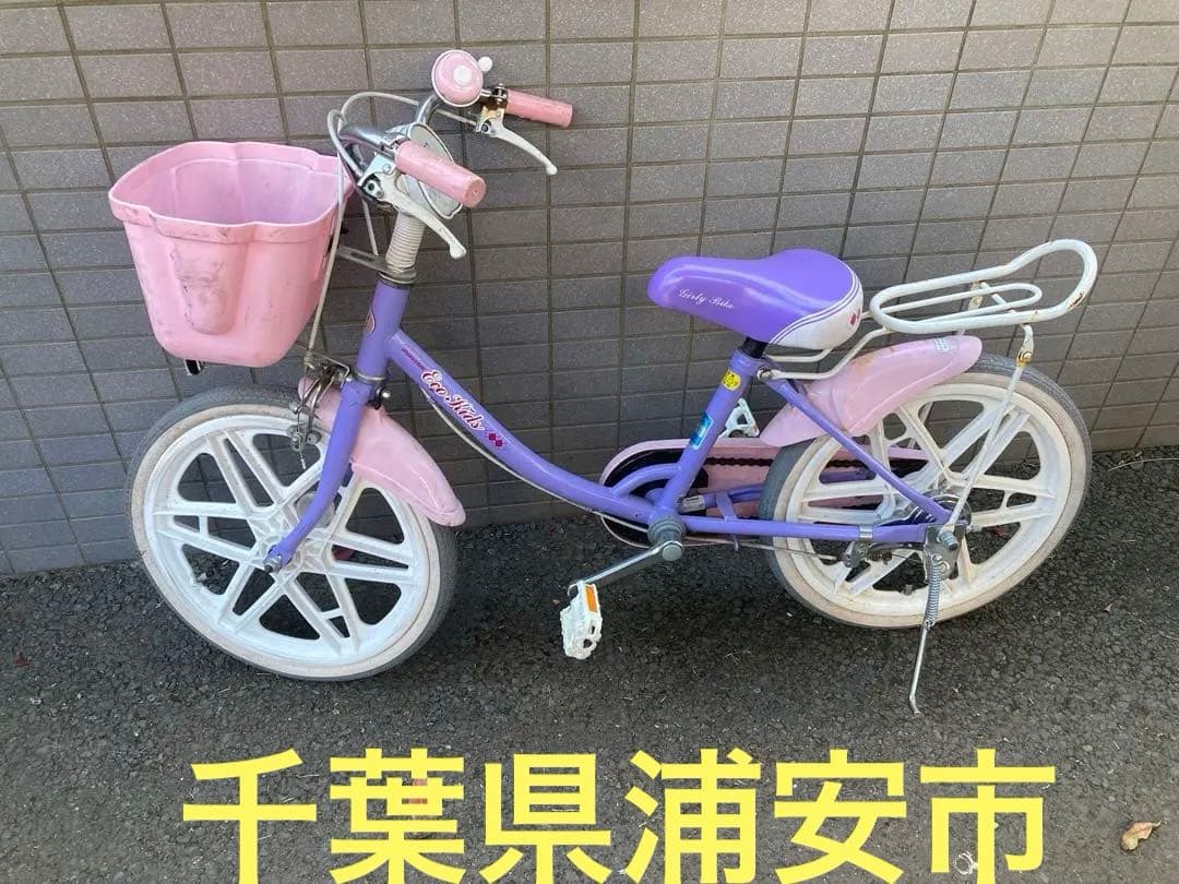 18型 子供用自転車 エコキッズ カラフル(ラベンダー＆ピンク)EKC18