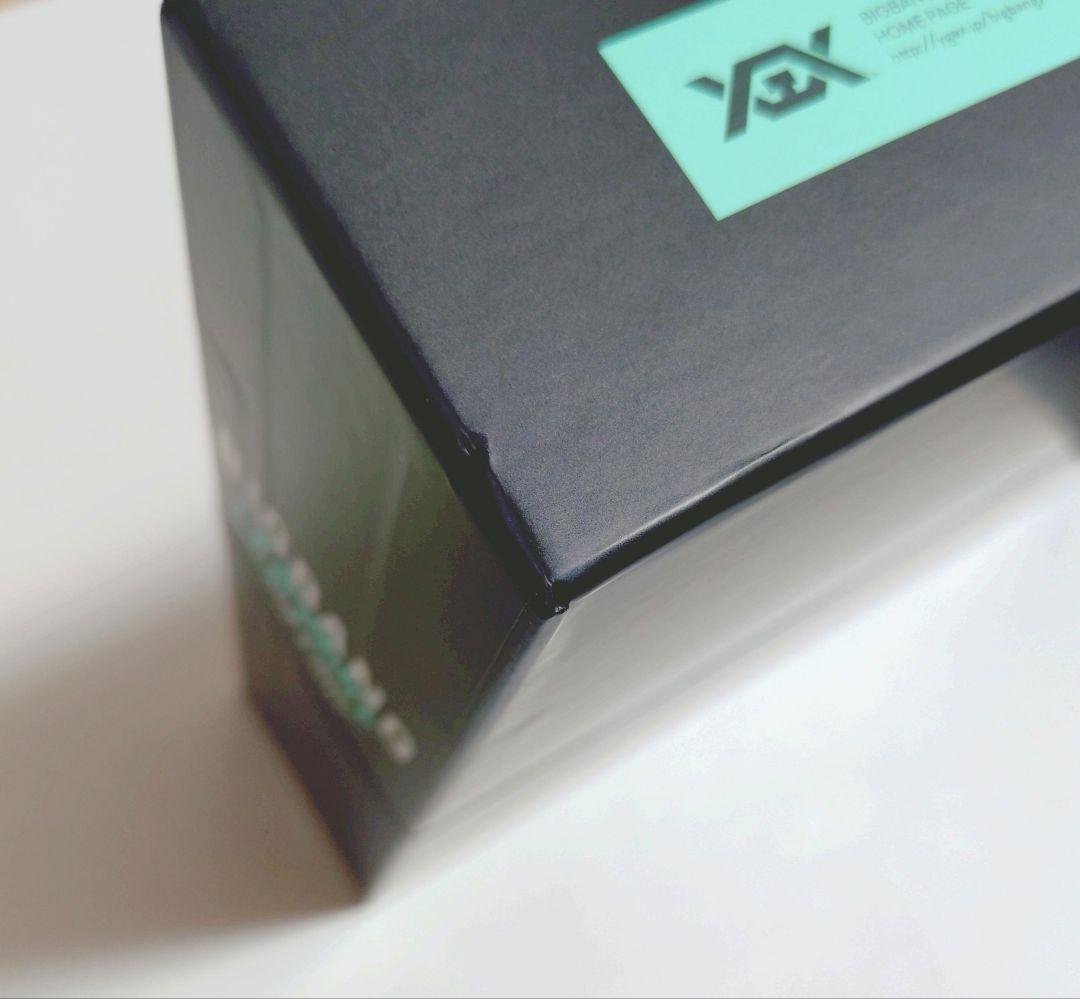 BIGBANG LAST DANCE FINAL DVD 初回限定盤 テソン