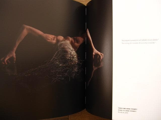 Kultakausi Golden age　Marita Liulia