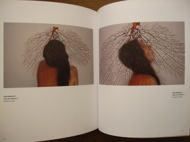 Kultakausi Golden age　Marita Liulia