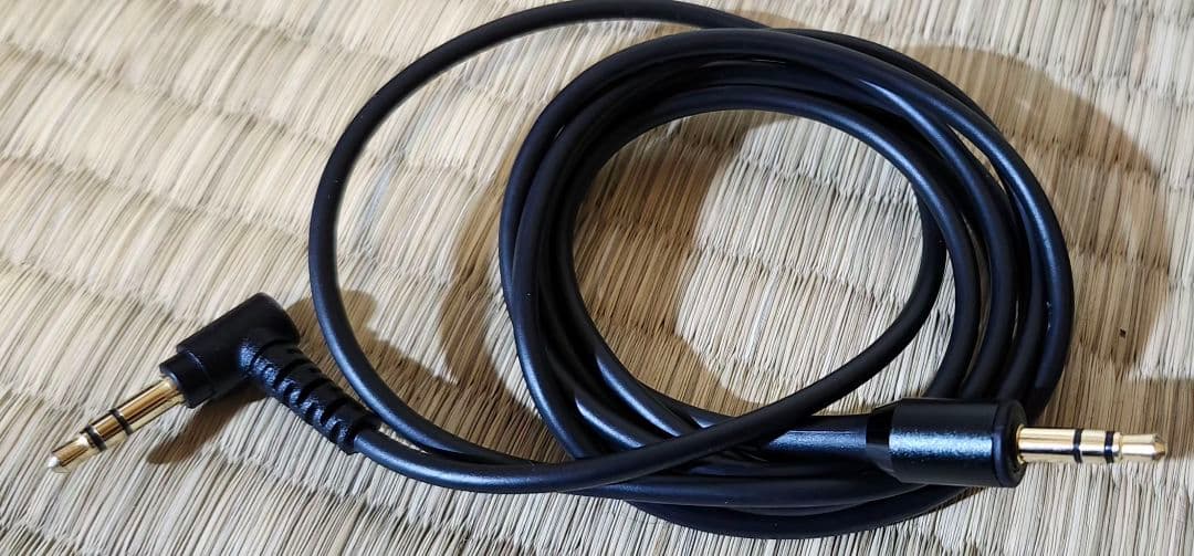 Panasonic RP-HD10【動作確認済み】